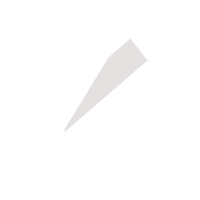 潍坊临时保镖服务